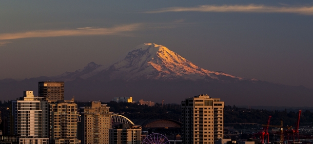 The skyline of the Belltown and Sodo neighborhoods in Seattle 
