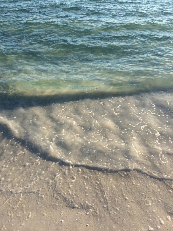 The smooth waters of Sarasota FL 