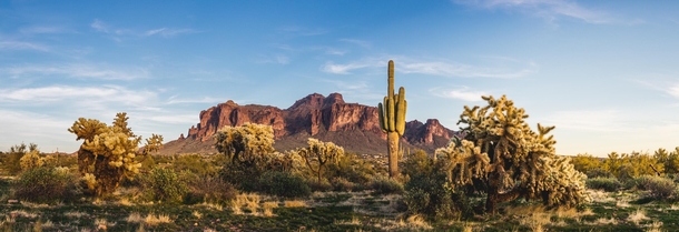 The Sonoran Desert - Arizona 