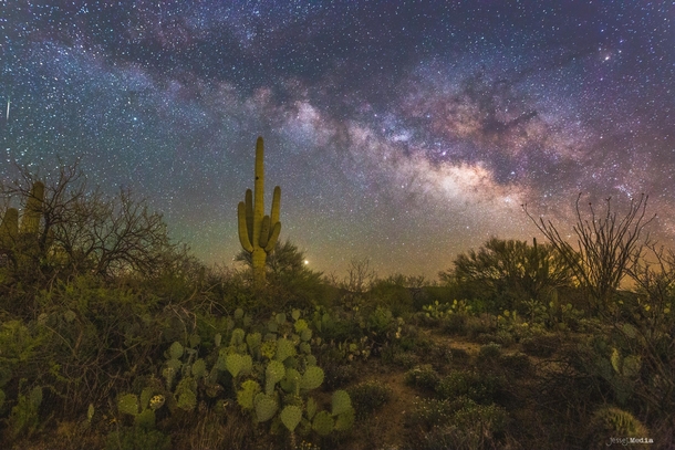 The Sonoran Desert during peak night sky viewing conditions - Arizona 