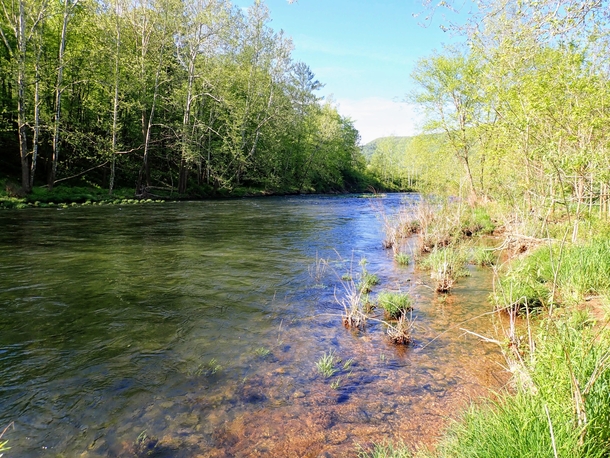 The sparkling clear waters of Little Pine Creek - Waterville PA 
