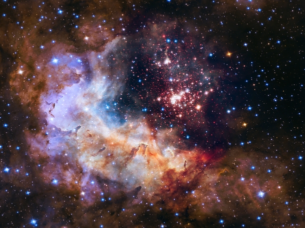The star cluster Westerlund  