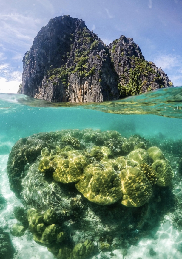 The stunning coral life below these turquoise waters - El Nido Palawan 