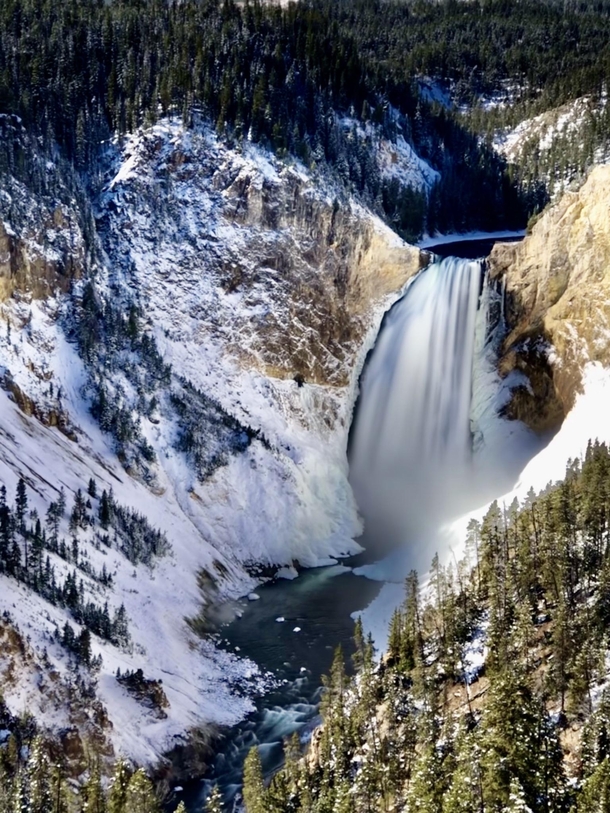 The stunning Lower Falls of Yellowstone 