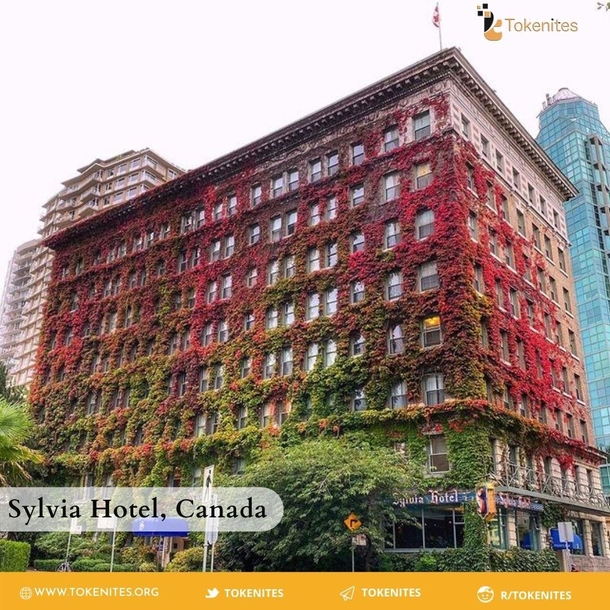 The Sylvia Hotel in Canada actually changes color with the seasons