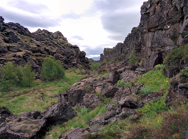 The tectonic ridges of ingvellir Iceland 