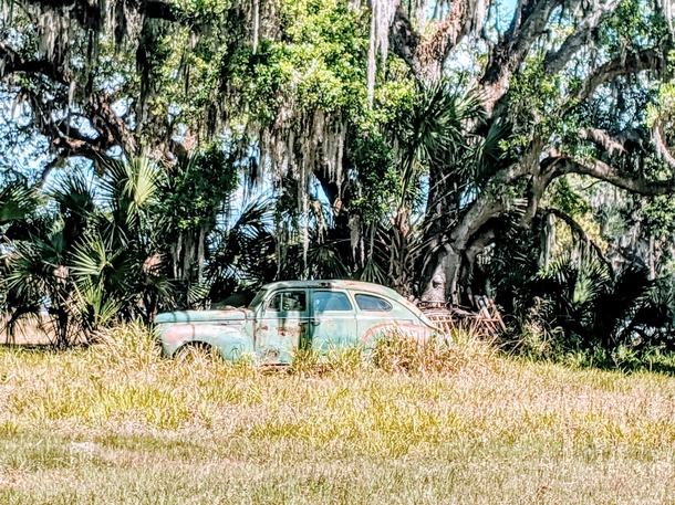 The things you find on old Florida roads 