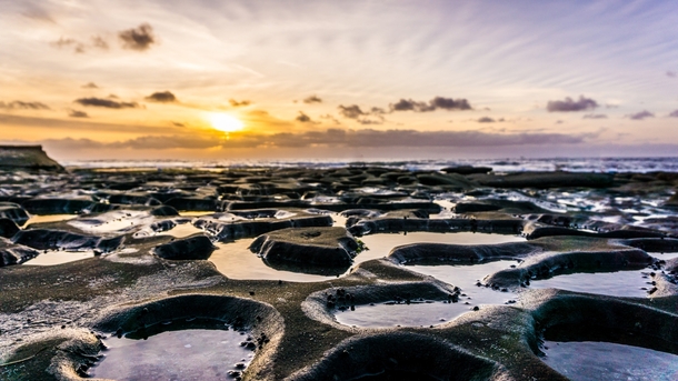 The tide pools of La Jolla California New Years Day 