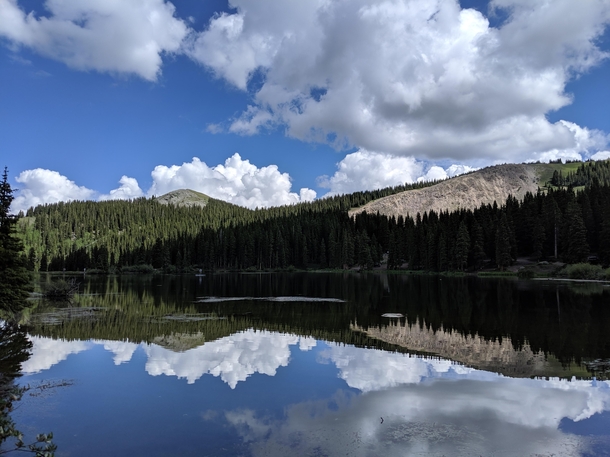 The trees and reflection come together like a soundwave Married here in August  Alta Lakes Ophir CO Reservoir   