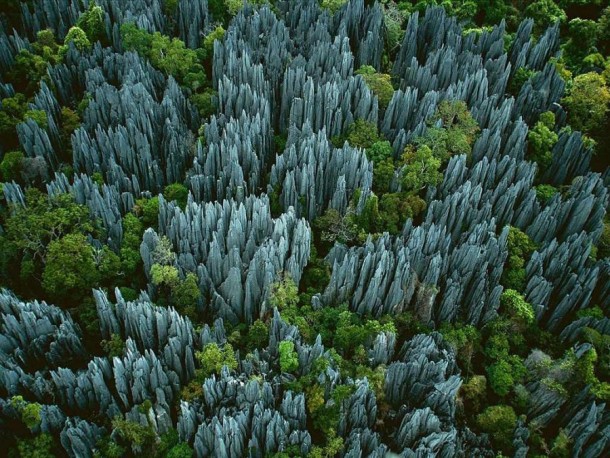 The Tsingy de Bemaraha a forest of incredibly sharp towers of limestone in Madagascar 