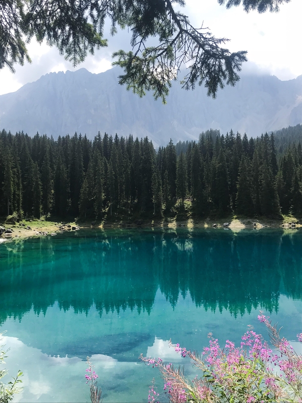 The turquoise waters of Lago di Carezza in the Dolomites Italy 