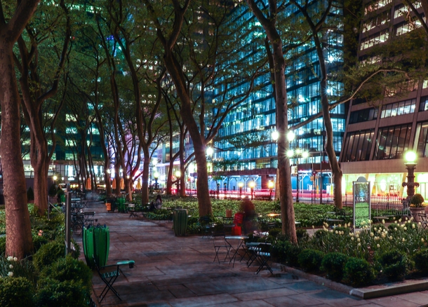 The Urban Jungle by me Bryant Park NYC