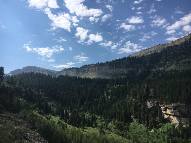 The view on the hike in Darby Canyon near Driggs Idaho 