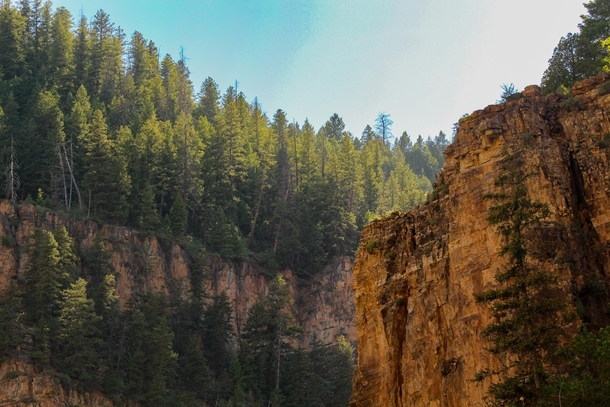 The Walls of Glenwood Canyon seen from Hanging Lake 