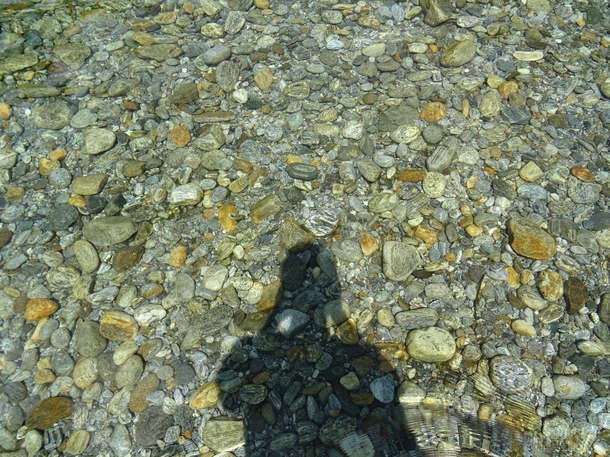 The water was crystal clear in the verzasca valley 