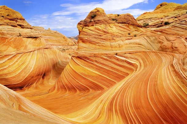 The Wave in Coyote Buttes ArizonaUtah 