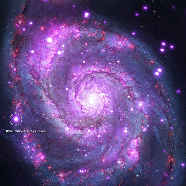 The Whirlpool Galaxy