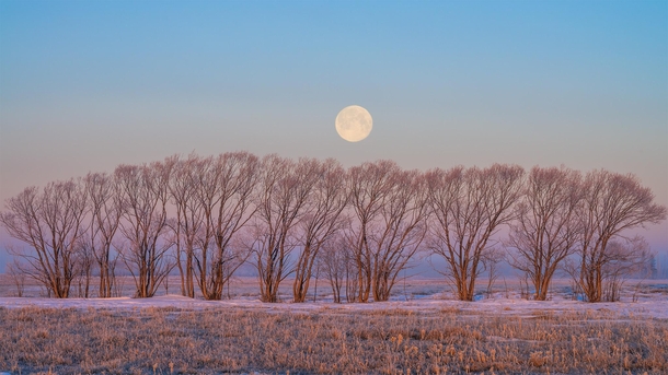 The worm moon sets on a Saskatchewan morning 