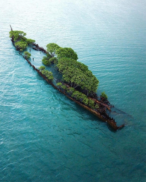 The wreck of the SS City of Adelaide a steamship that ran aground off Cockle Bay Magnetic Island in  while being transported Photograph by Conor Moore