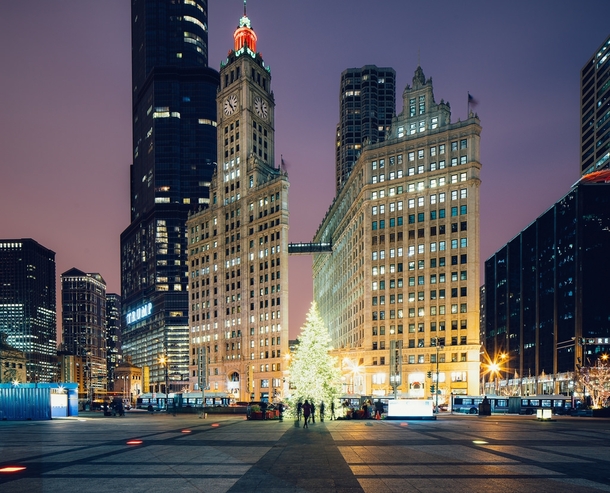 The Wrigley Building in Chicago 
