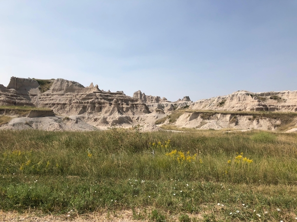 There was something so beautiful about the dry grass amp flowers here - the Badlands South Dakota 