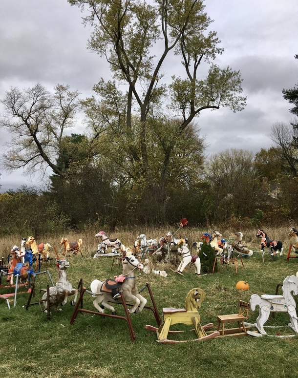 Theres a field in Massachusetts where someone apparently dumped an old rocking horseand it has collected more and more over the years