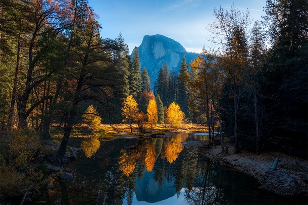 Theres still a little bit of fall color left in Yosemite  IG bradleyspuhler