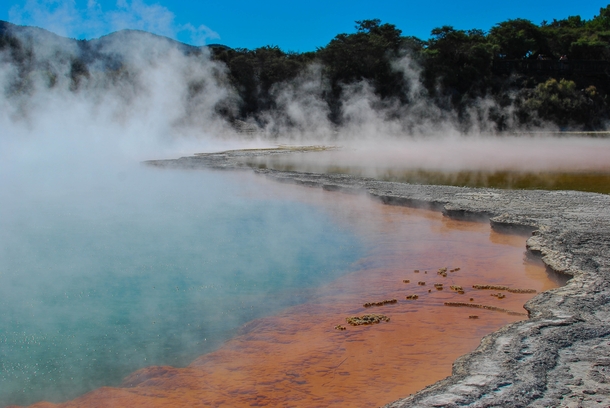 Thermal Pools in New Zealand  x