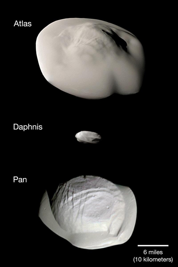 These weird looking moons of Saturn are interesting in that they accumulate so much material from Saturns rings that they looked flattened out More info - httpsapodnasagovapodaphtml
