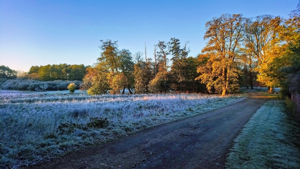 Thick frost on the grass- Sor Denmark OC