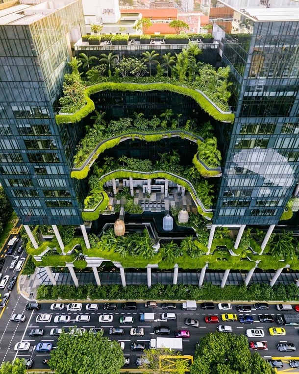 Think Green For A Better World Singapore 