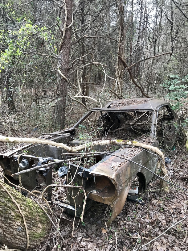 This abandoned car found on my familys property