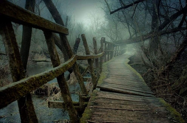 This abandoned forest trail near Vc Hungary credit Gbor Dvornik cpt_hun