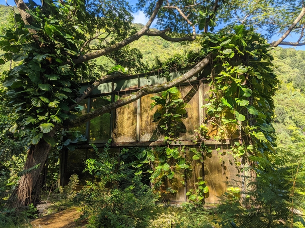 This abandoned tea house in Hawaii