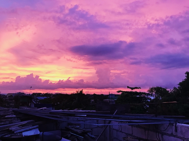 this beautiful purple sunset