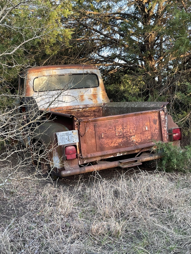 This beauty was also on my co-workers land yesterday