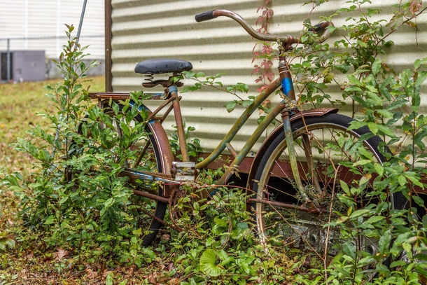 This bike my grandparents forgot about behind their shed