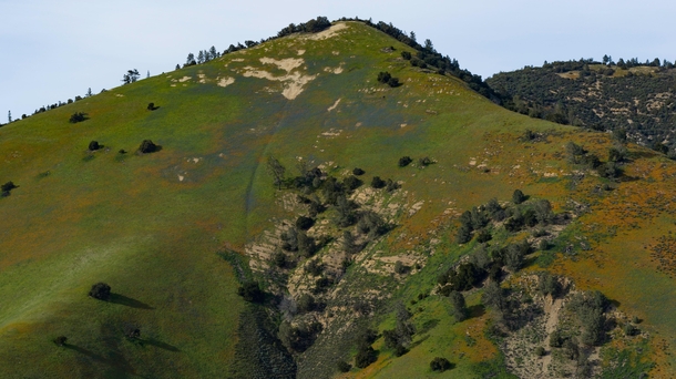 This colorful hillside in Central California 