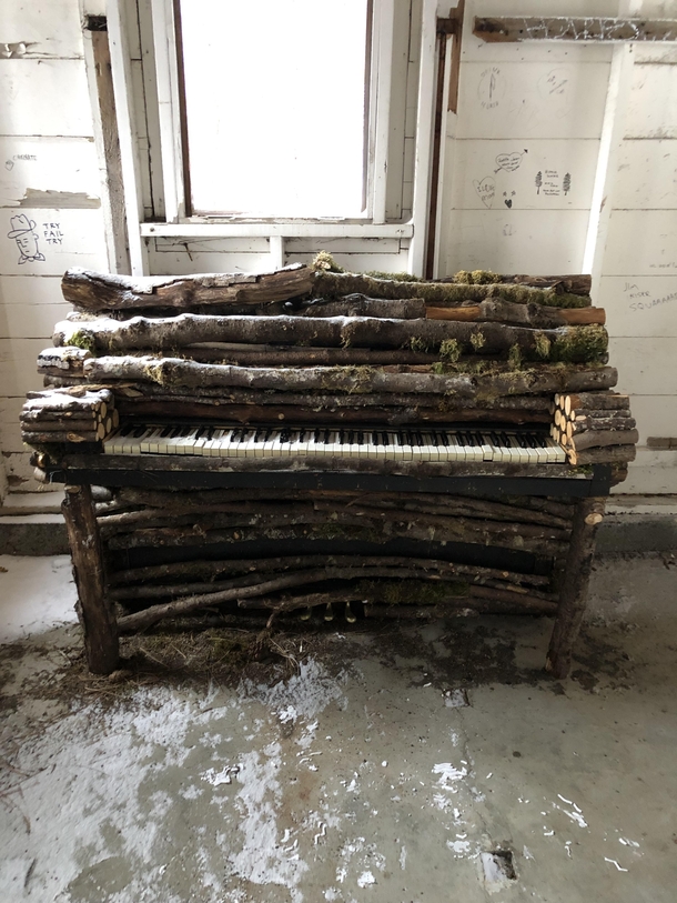 This frozen piano made from branches