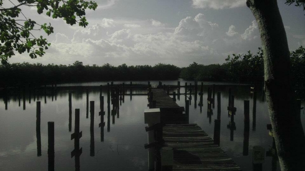 This is my favorite photo Taken by me sometime  Bougainville Docks Dagny Johnson Park on Card Sound Rd Key Largo Florida