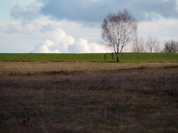 This landscape from northern Poland is calming me every time I look at it such as it did when I took the photo 