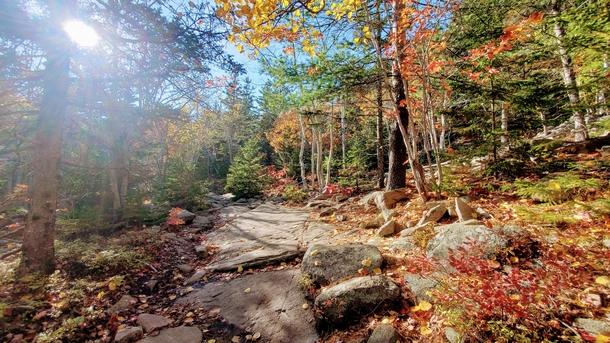 This magical clearing we came across really brings out the fall colors Acadia National Park ME 