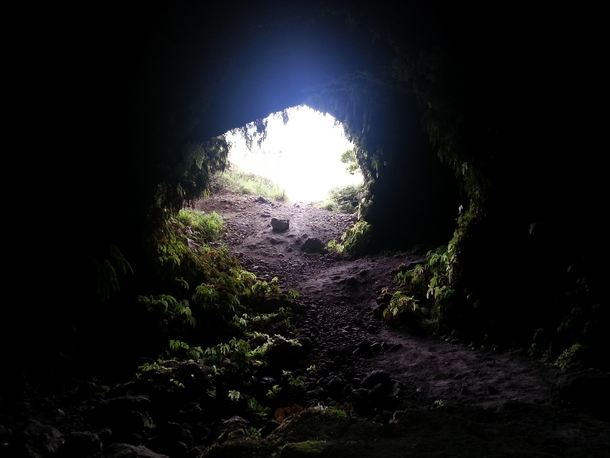 This photo was taken from the inside of a cave in Akaka Falls State Park Hawaii July  I think its pretty neat how far the vegetation gets into the cave 