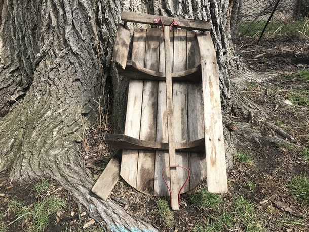 This rotten sled I found behind my shed