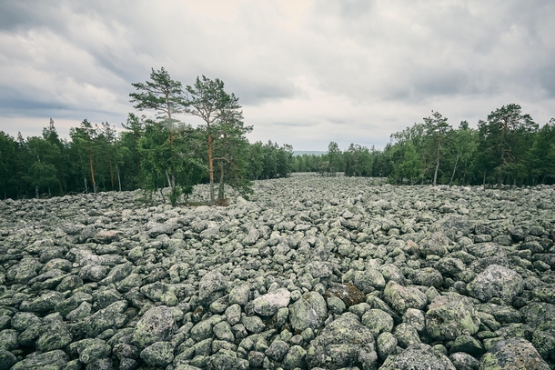 This sea of rocks was never a river bed A glacier crushed up a mountain in Sweden and left these stones behind when it retreated 