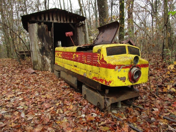 This small yellow train was once a beloved attraction at Craighead Cavernsnow known the Lost Sea Running from the s to  the train was a popular feature with small children and rail enthusiasts Now forgotten it rusts quietly at the edge of the woods Sweetw