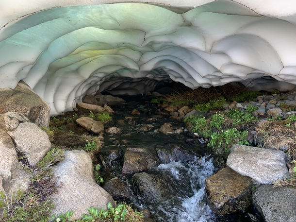 This snow cave we found in the Desolation Wilderness The gold and blue in the roof is the sun shining through 