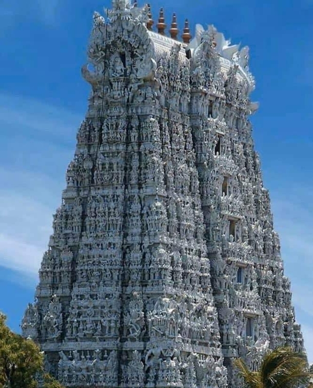 This Temple is known for wonders like musical pillars   lakh statues each with a tiny hole from one ear to another etc The Thanumalayan Suchindram Anjaneyar Temple in Kanyakumari Tamil Nadu The inscription of the temple dates back to th Century