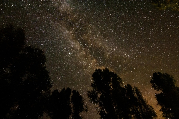Thought yall would enjoy this Milky Way in Grand Tetons night sky 