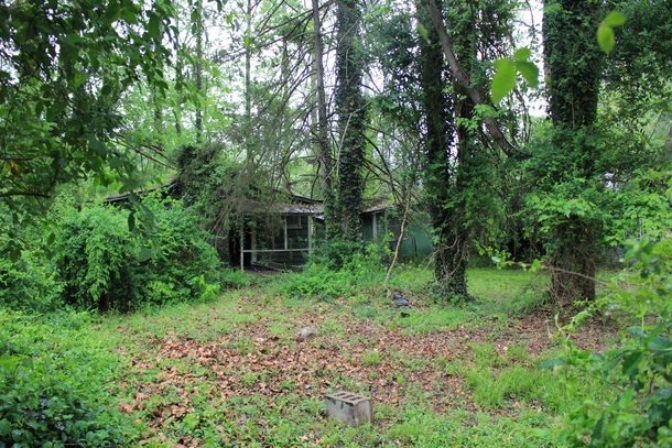Three identical houses rotting in the woods 